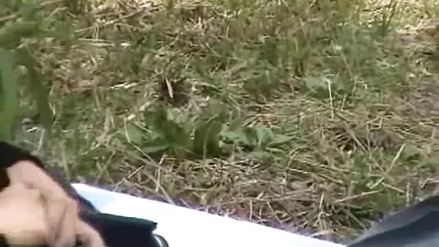 Paintoy-մետաղադրամներ արցունքների համար P6 հնդկական ծիծիկներ