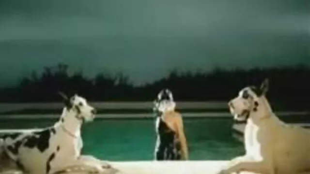 Scratched-Ի Մեջտեղում Չէ ցանկ հնդկական պոռնոաստղ